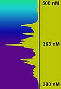 Spectrum Chart